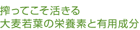 搾ってこそ活きる大麦若葉の栄養素と有用成分